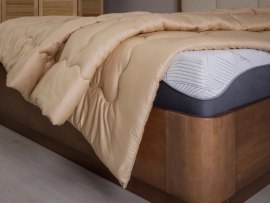 Одеяло всесезонное Райтон Cashmere