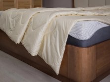 Одеяло Райтон легкое Cotton