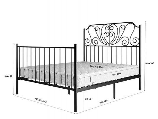 Металлическая кровать Венера 3