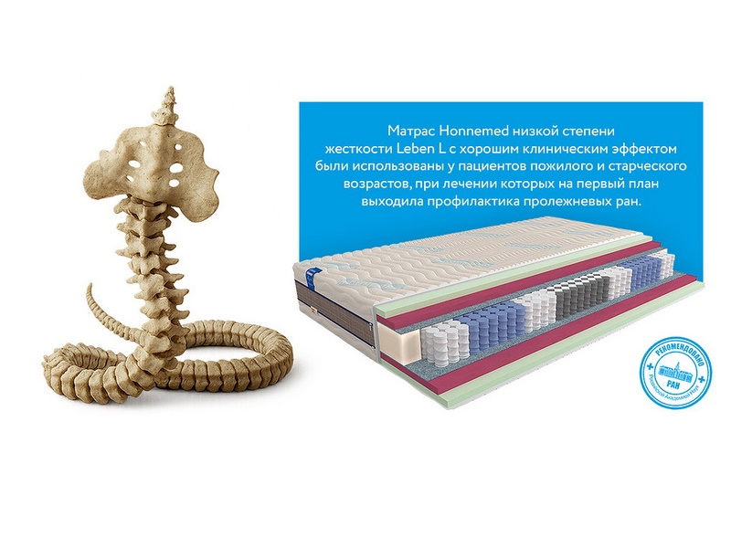 Матрас ортопедический Honnemed Leben L