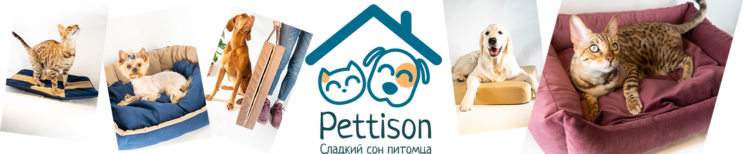 Pettison