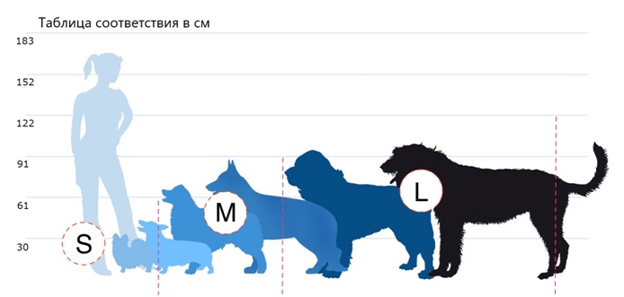 Таблица соответствия размера собаки